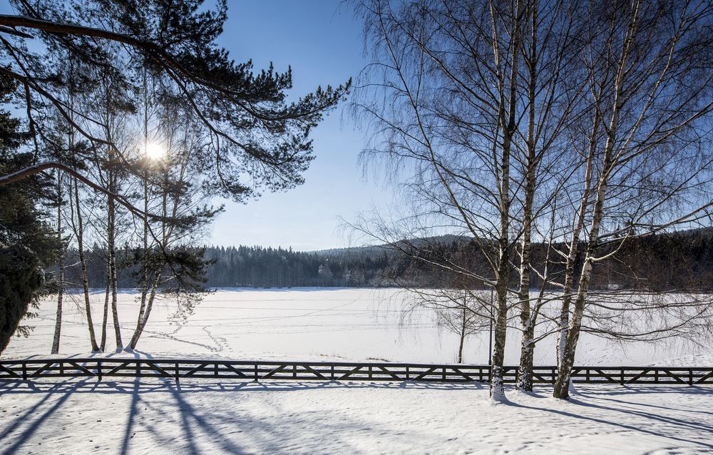 Orea Resort Devet Skal Vysocina Sněžné Esterno foto